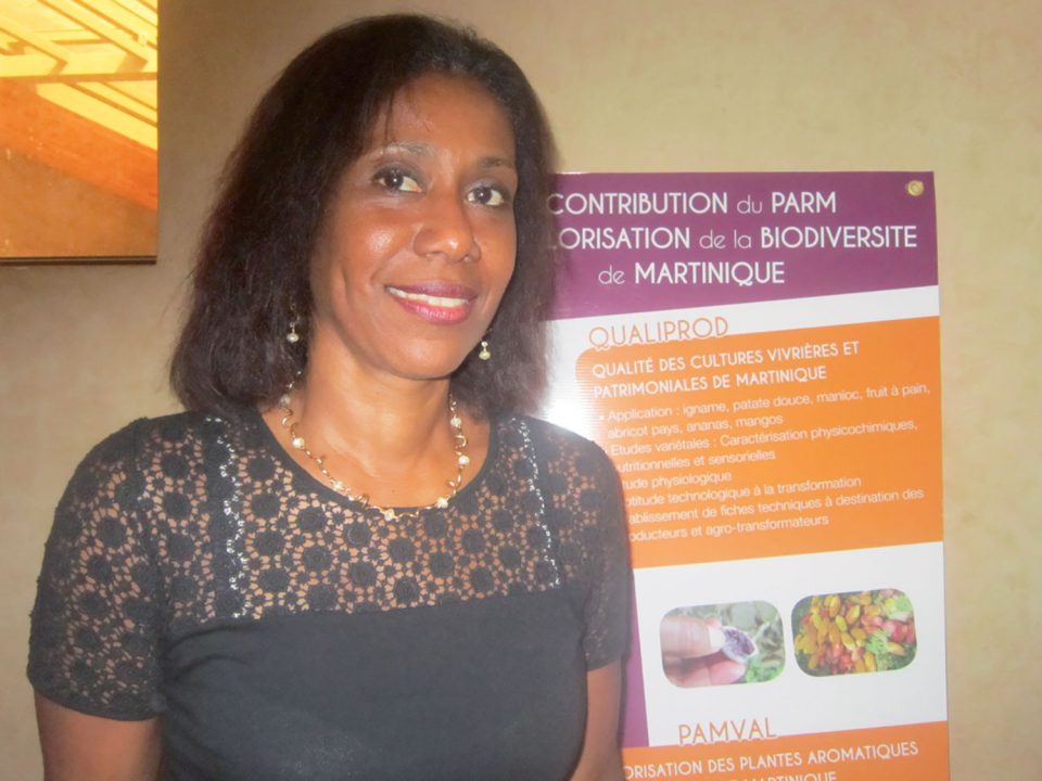 Le Pôle agroalimentaire régional  de Martinique (PARM) veut être reconnu