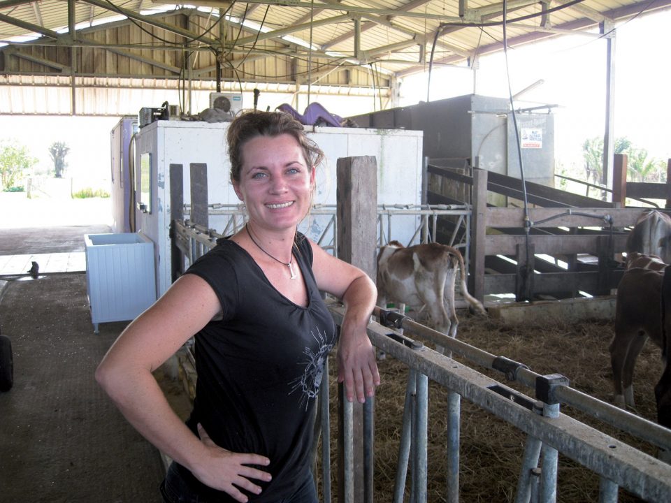 La Ferme de Lait-Quateur, première laiterie de Guyane