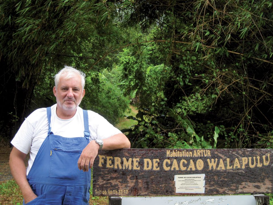 La Ferme de Cacao Walapulu : pour une filière cacao en Guyane