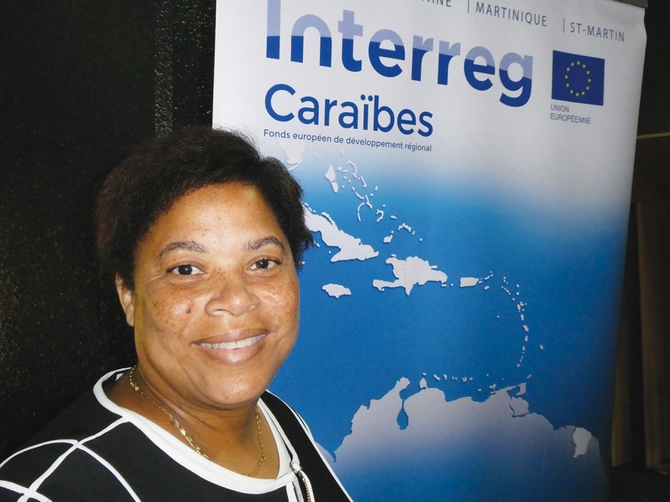 Sargasses : la Région Guadeloupe lance un appel à projets international