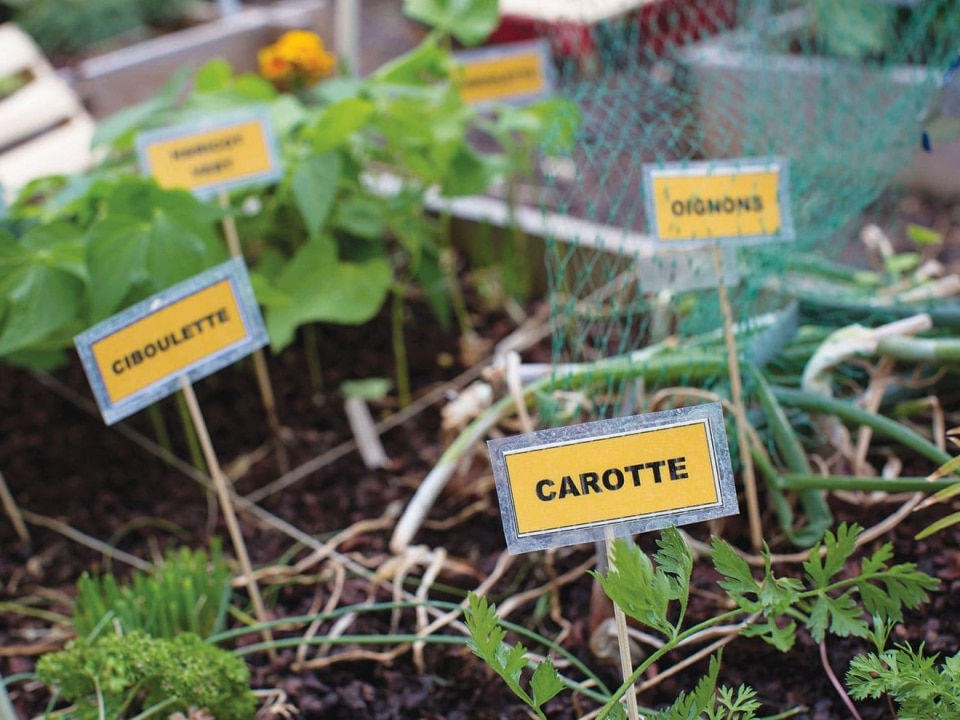 Produits phytosanitaires :