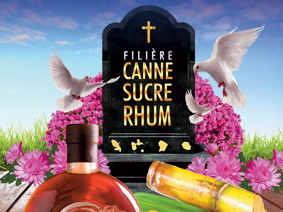 La filière sucre-canne-rhum outre-mer en danger de mort !