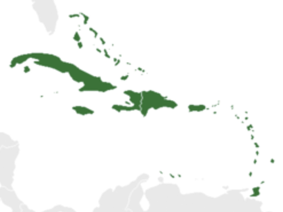 Trinidad, Barbade et Dominique sur la liste noire