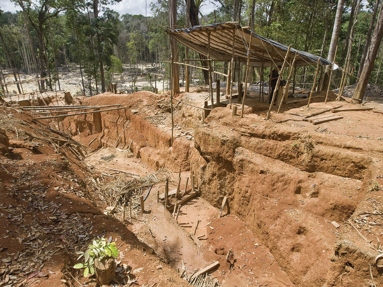 Mine en Guyane : les permis attribués en 2019