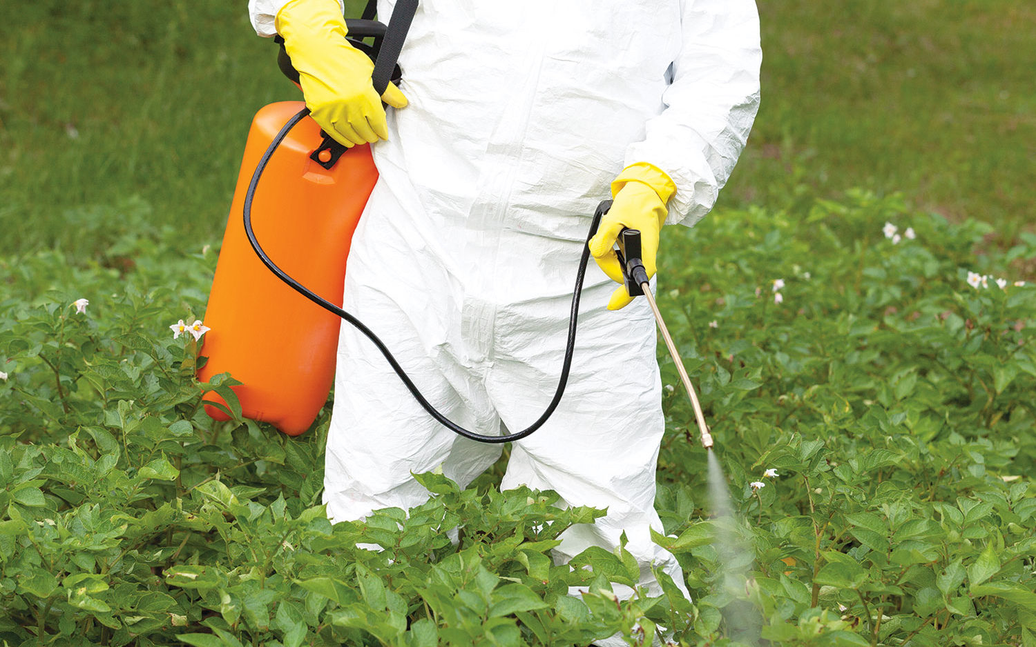 Interdiction de pesticide