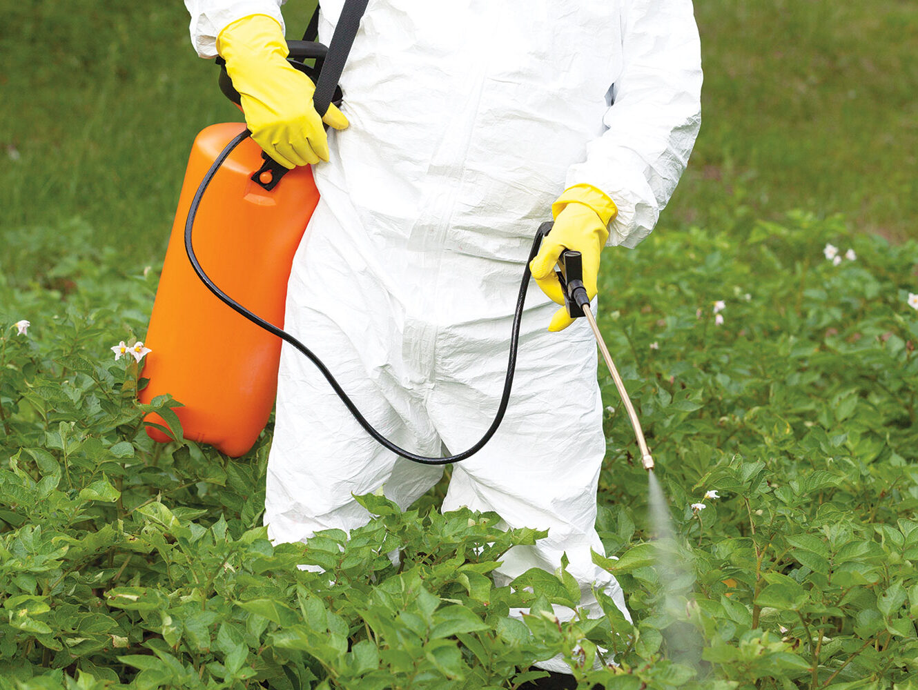 Arrêté anti-pesticides : deux poids, deux mesures !