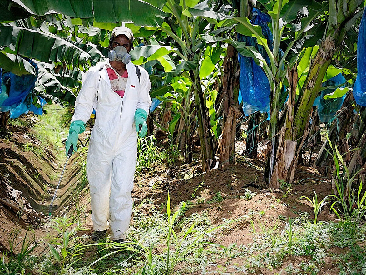 Pesticides : les maires ne lâchent pas l’affaire