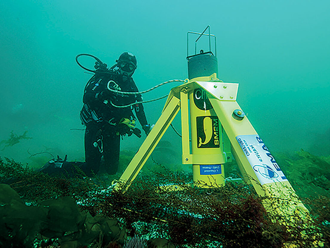 Biophonie sous-marine