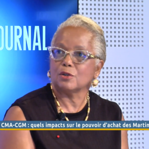 Baisse des tarifs CMA CGM quels impacts sur le pouvoir d’achat des Martiniquais ?