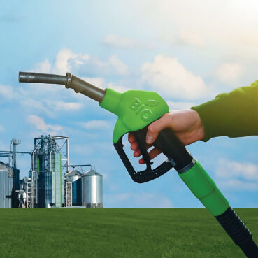 Biocarburants : lent, très lent développement