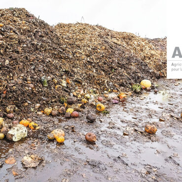Déchets agricoles aux Antilles-Guyane : les filières s’organisent enfin