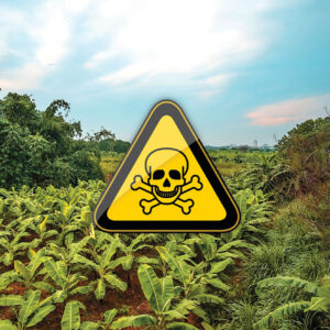 Pesticides