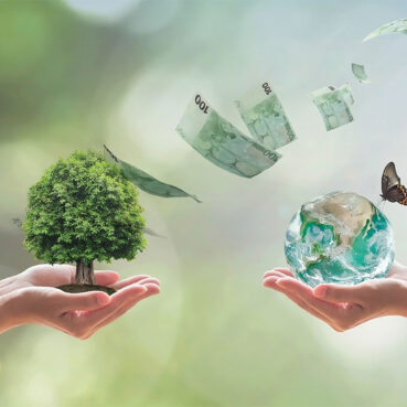Stratégie nationale de la biodiversité : l’argent manque !