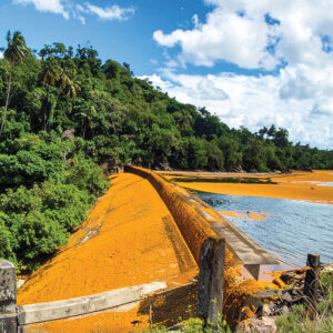 Des barrages déviants contre les sargasses