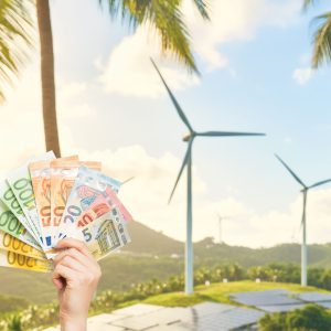 Transition écologique : accélérer les investissements publics et privés