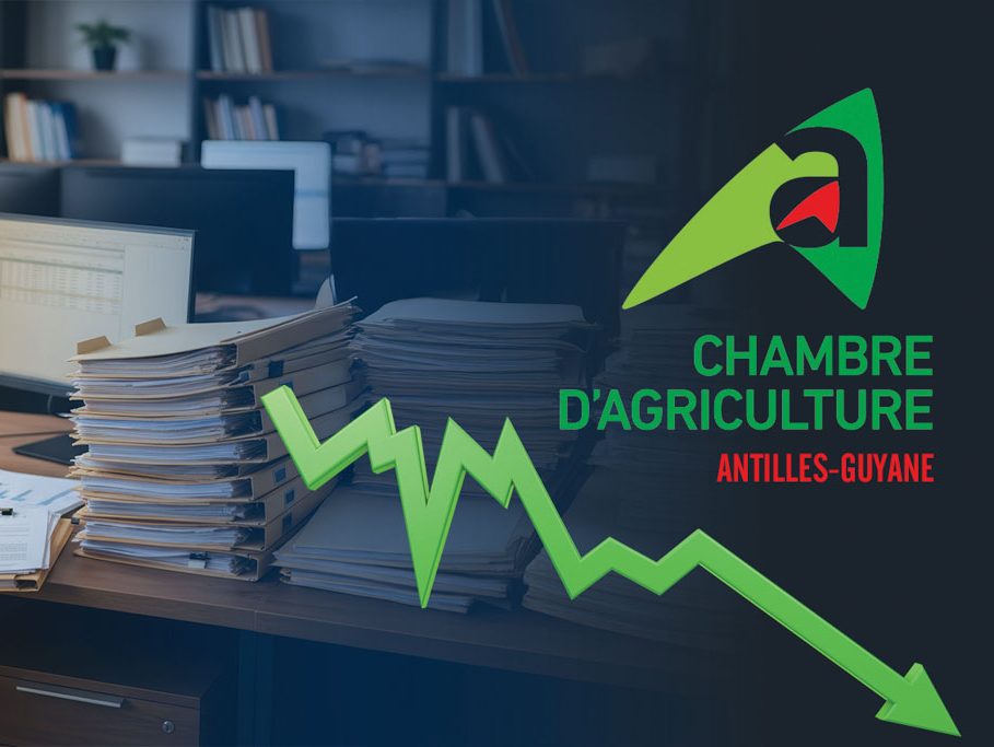 Chambres d’agriculture des Antilles-Guyane : elles sont toutes non vertueuses !