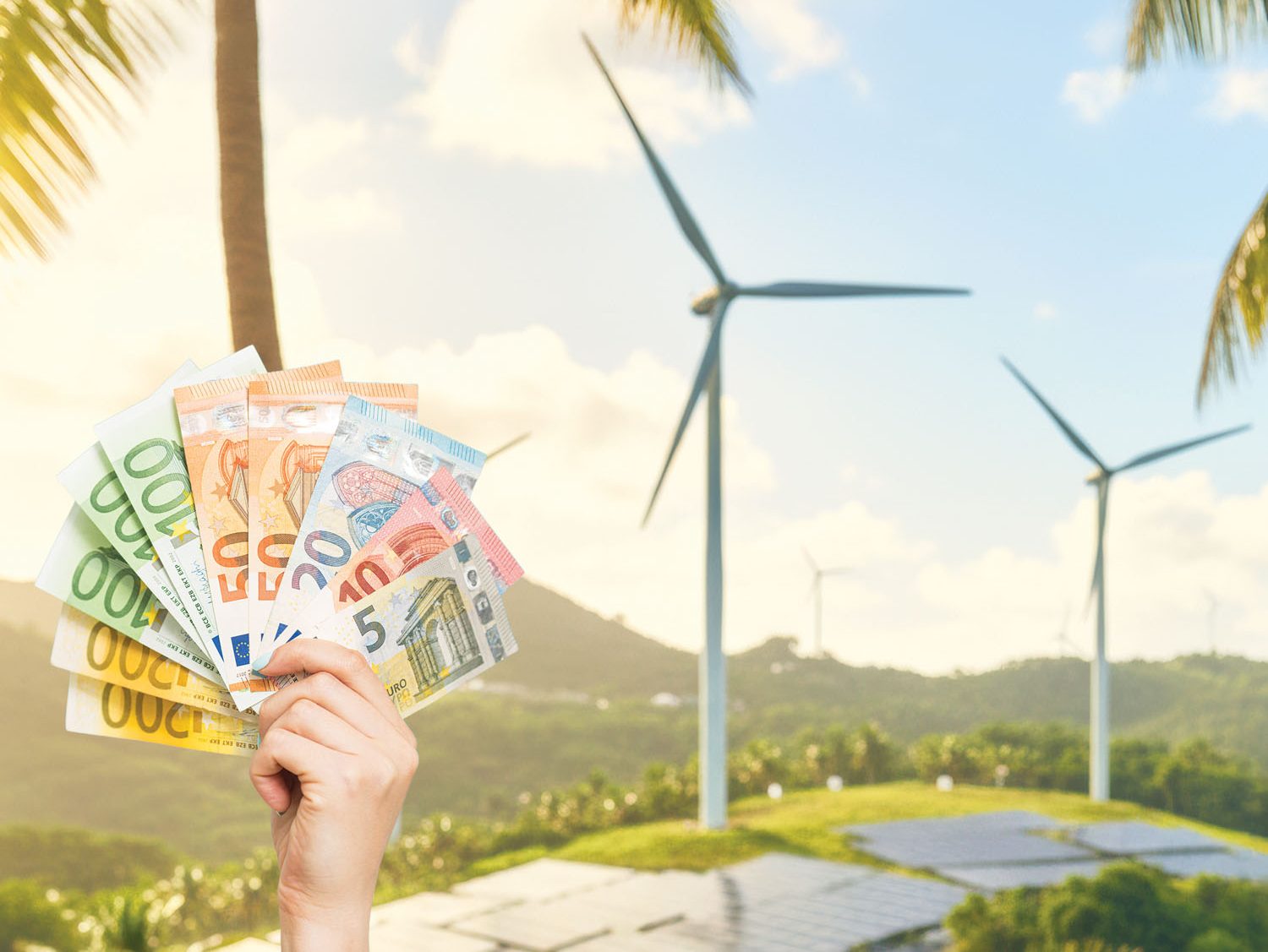 Transition écologique : accélérer les investissements publics et privés