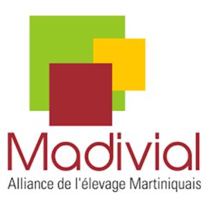 Filière céréales régionale : la stratégie dangereuse de Madivial