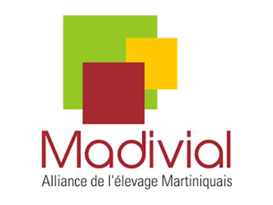 Filière céréales régionale : la stratégie dangereuse de Madivial